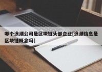 哪个浪潮公司是区块链头部企业[浪潮信息是区块链概念吗]